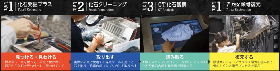 “REAL”にこだわり、未来の研究者を育てるミュージアム～『福井県立恐竜博物館新館「化石研究体験」』